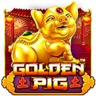 Golden-Pig